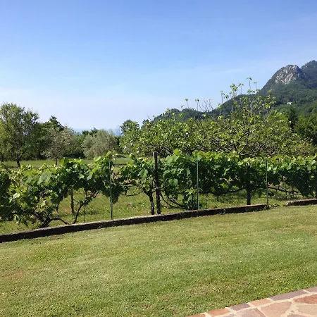 Garni Marika * ガルニャーノ