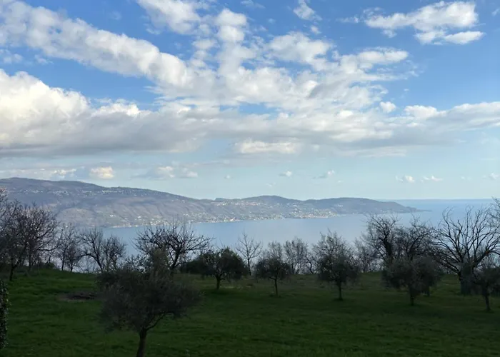 Garni Marika *